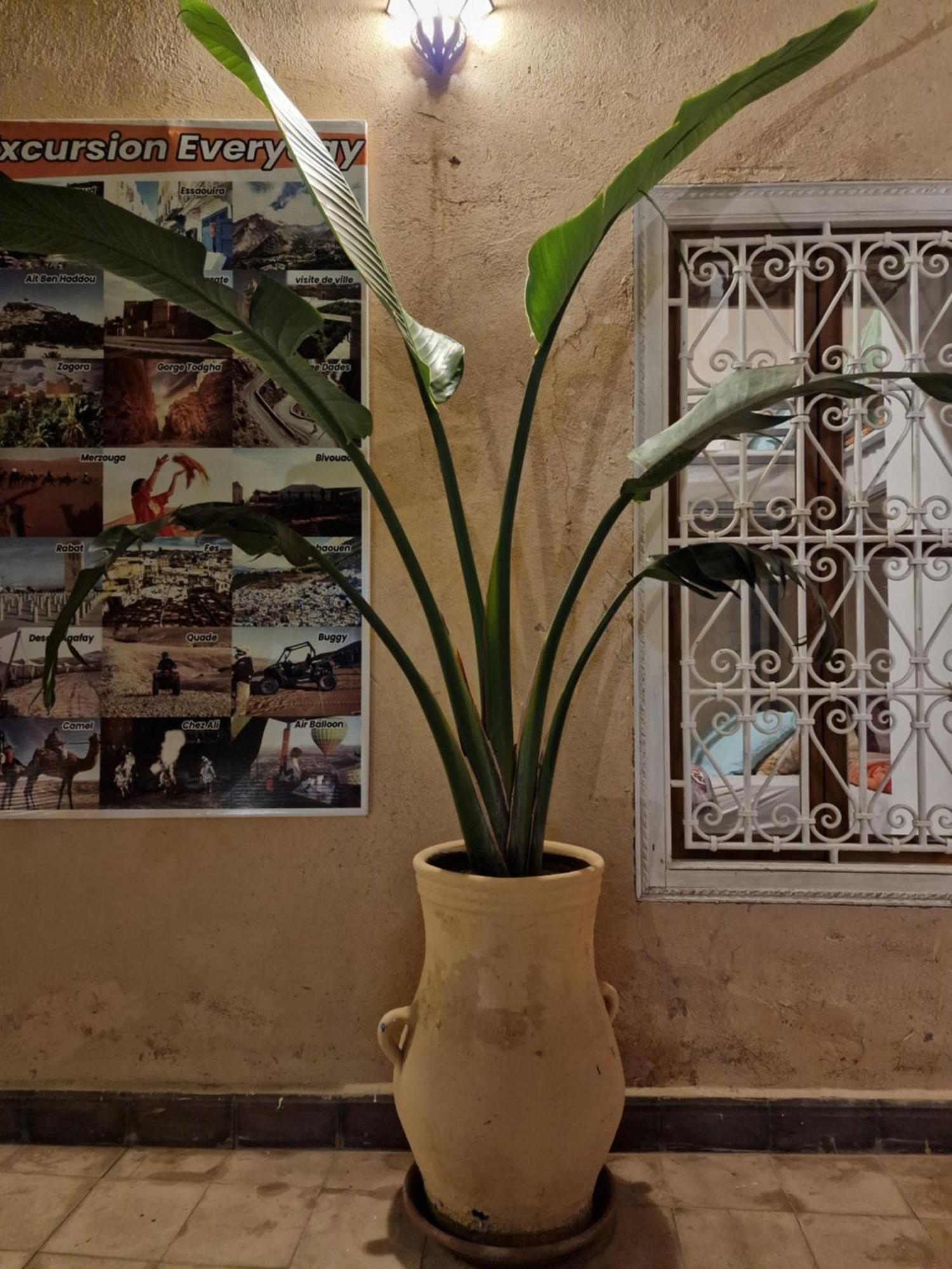 Hostel Laksour Marrakesh Eksteriør billede